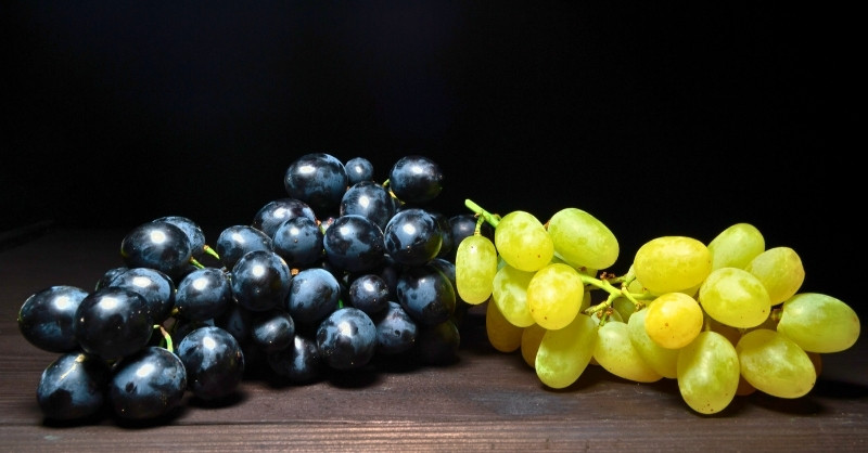 Variedades de uva que marcan Uruguay: del Tannat al Albariño